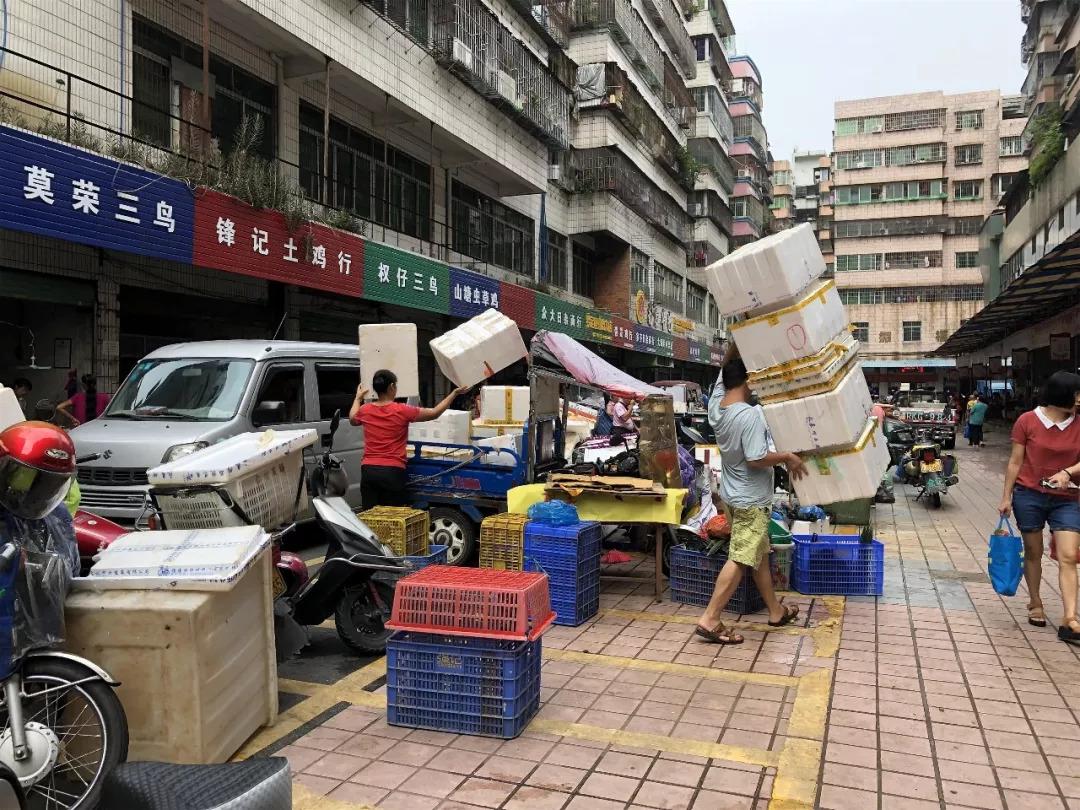 清城区卫生健康局最新发展规划，构建健康城市，提升民生福祉