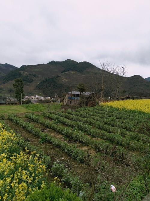 龙市乡天气预报更新通知