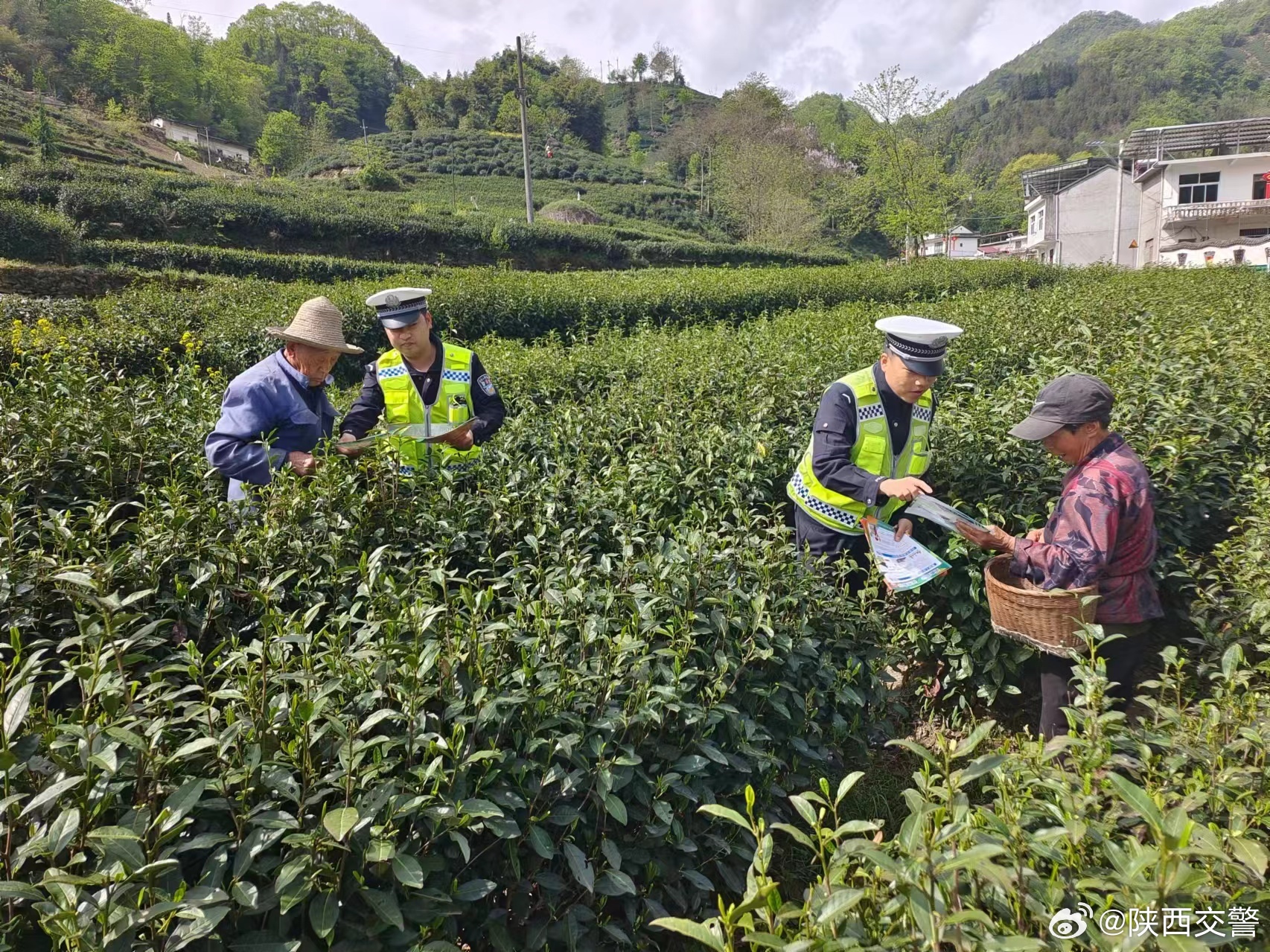 松林茶场交通新闻更新