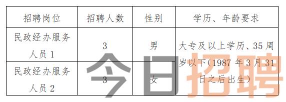 吕梁市司法局最新招聘启事概览