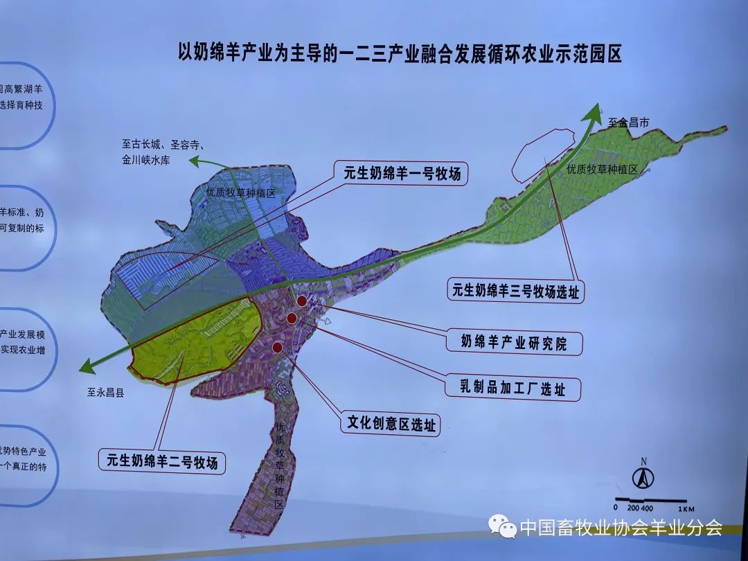 青海省三角城种羊场未来发展规划展望