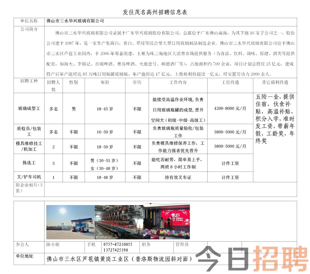 石城镇最新招聘信息汇总