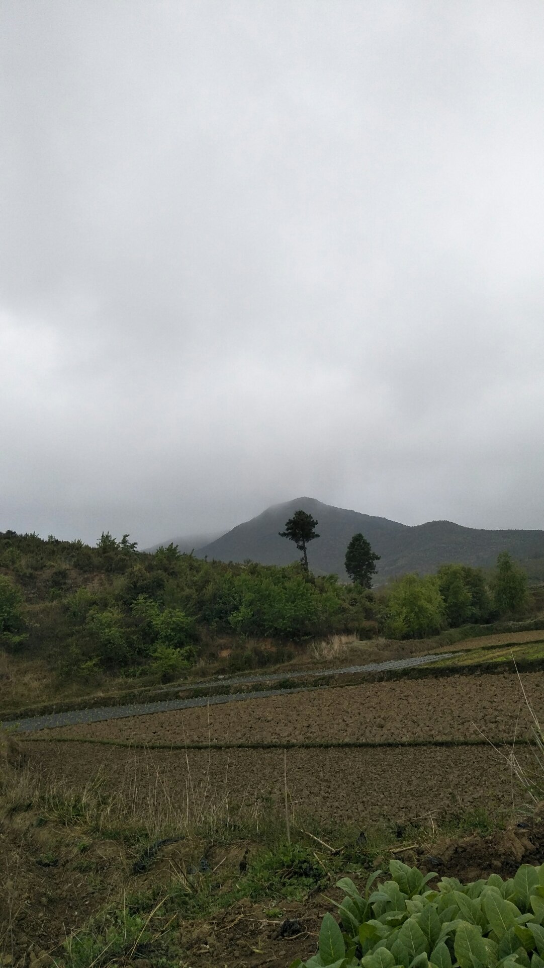 正西乡天气预报更新通知