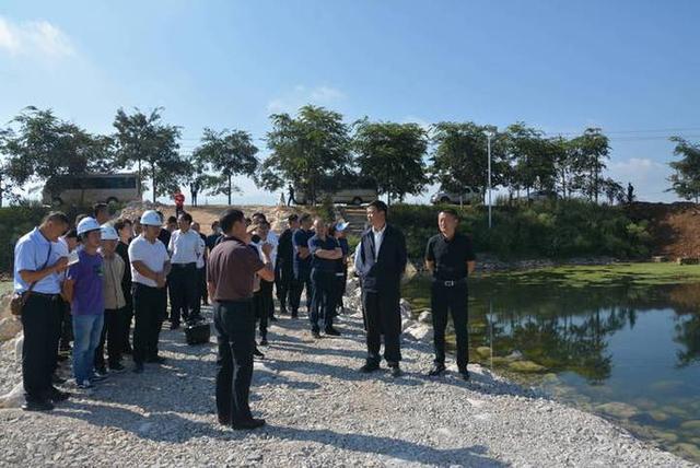 汪滩村委会新项目，重塑乡村，迈向繁荣之路