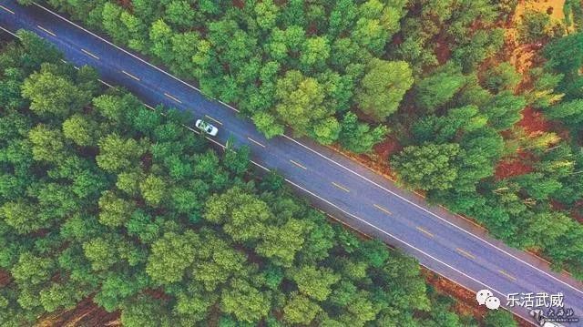 石羊河林业总场大滩园林场项目进展及前景展望