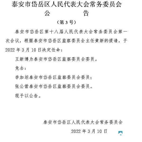 岱岳区发展和改革局人事任命动态更新