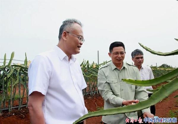 东英镇最新项目，地区发展的强大引擎驱动力