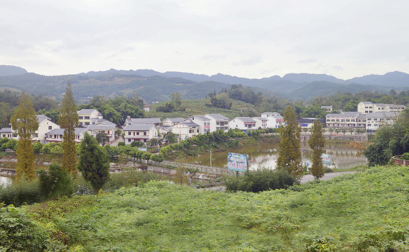 万源村天气预报更新通知