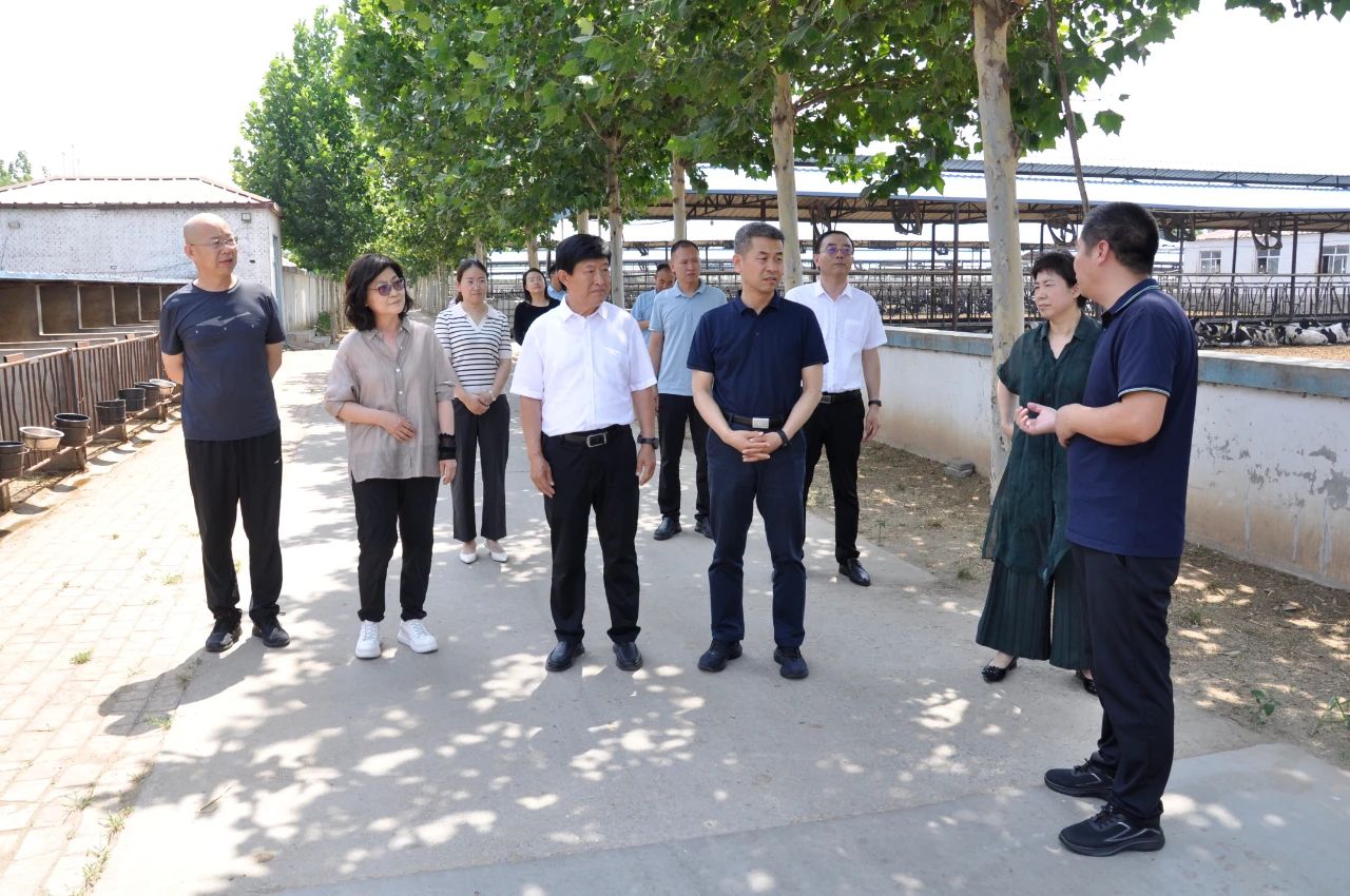 郑川村民委员会启动新项目重塑乡村未来，推动可持续发展进程