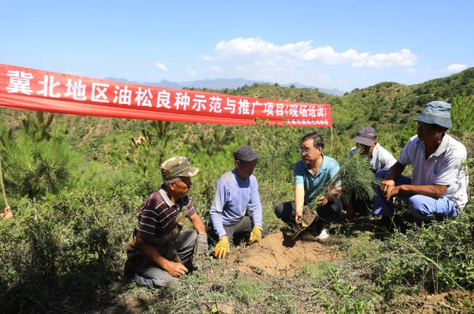 桦皮窑林场最新新闻概览