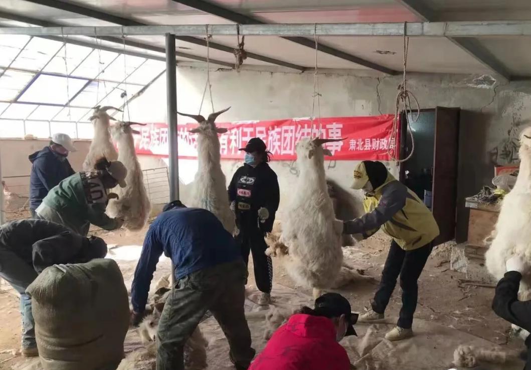 肃北蒙古族自治县财政局人事任命揭晓，新一轮力量推动财政事业发展