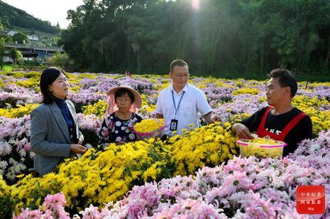 追栗街镇最新项目，地区发展的强大引擎引领前行